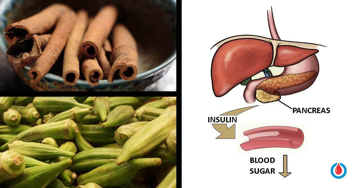 The Best Herbal Treatments to Control Blood Glucose Levels The Best Herbal Treatments to Control Blood Glucose Levels