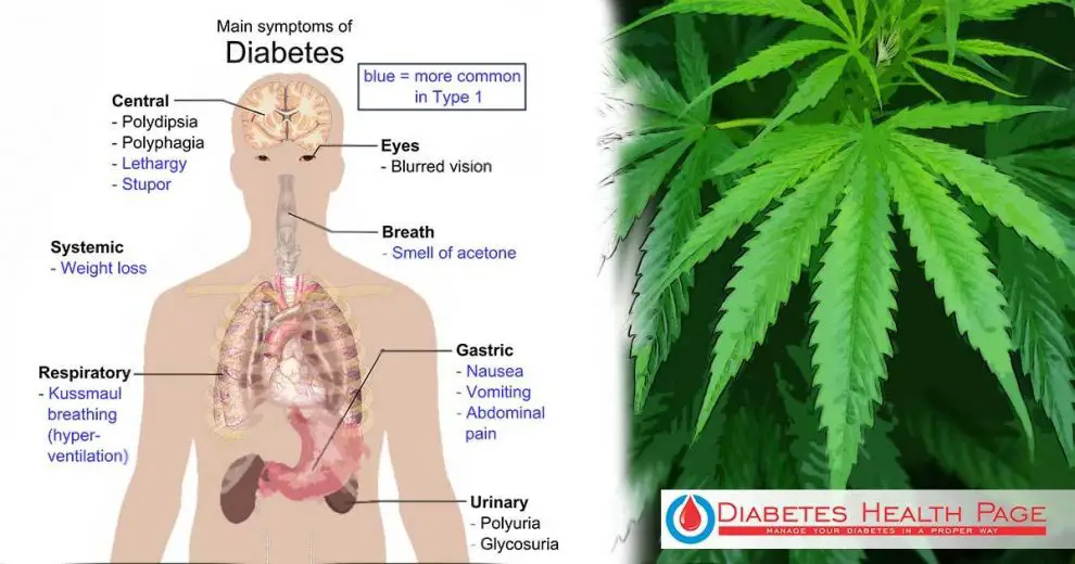Can Cannabis Help with the Treatment of Diabetes?
