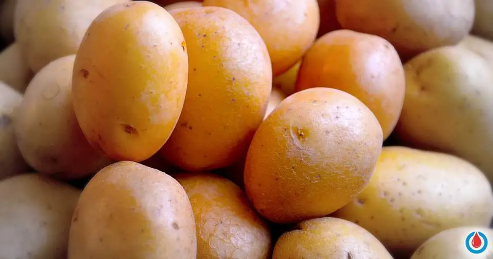 Decrease the Chance of Developing Diabetes Type 2 by Eating Less Potatoes