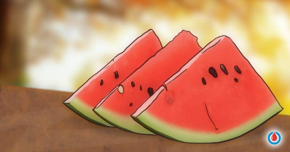 Should You Eat Watermelons If You Have Diabetes