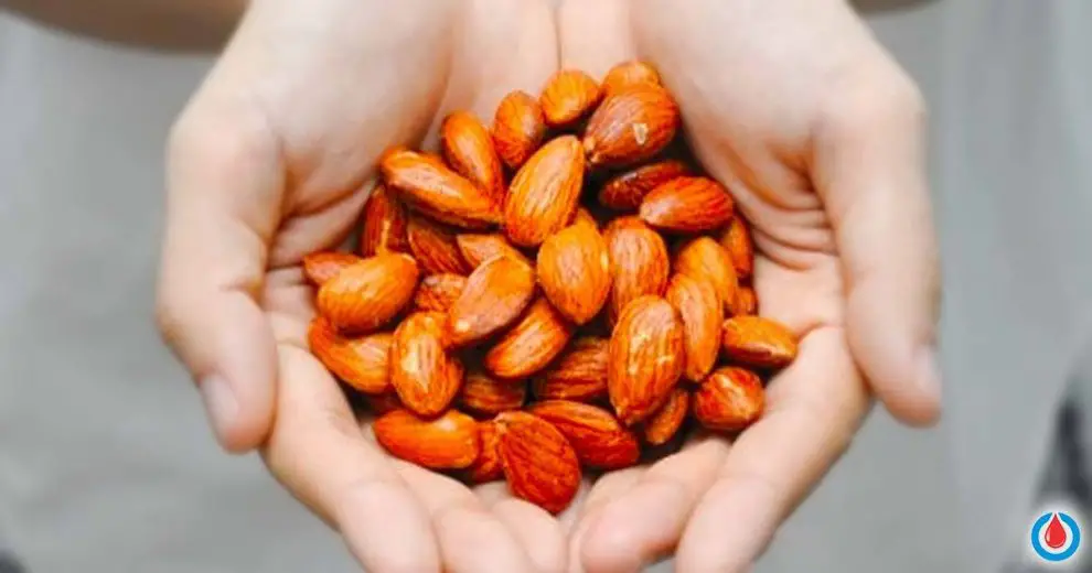 Why You Should Eat 15 Almonds per Day