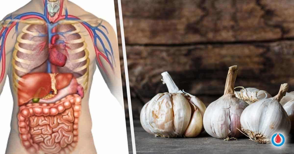 What Happens to Your Body When You Eat Garlic