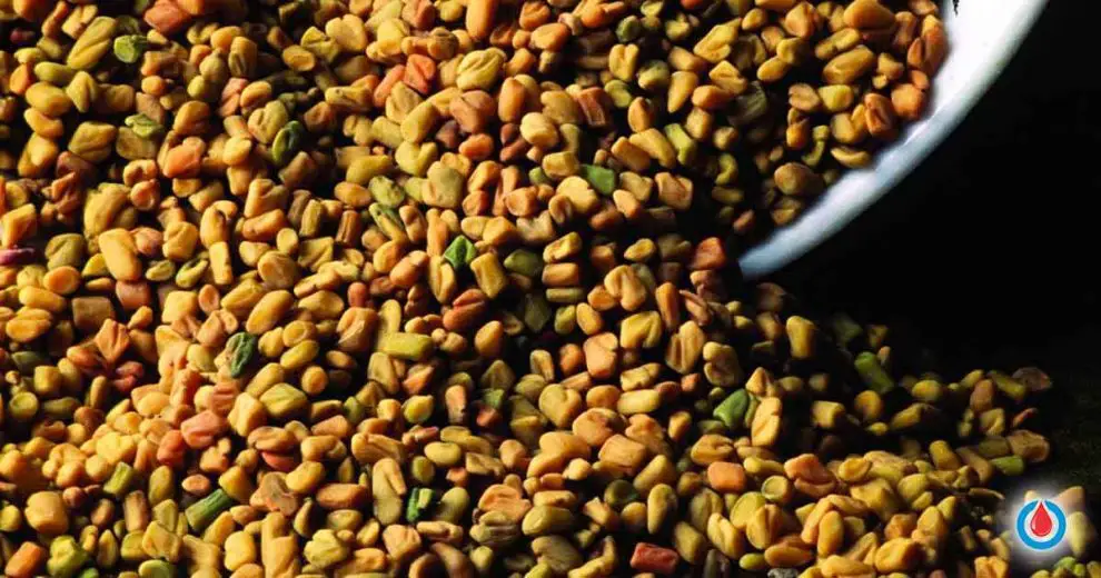 Eat Fenugreek to Reduce Blood Sugar Levels, But NOT too Much