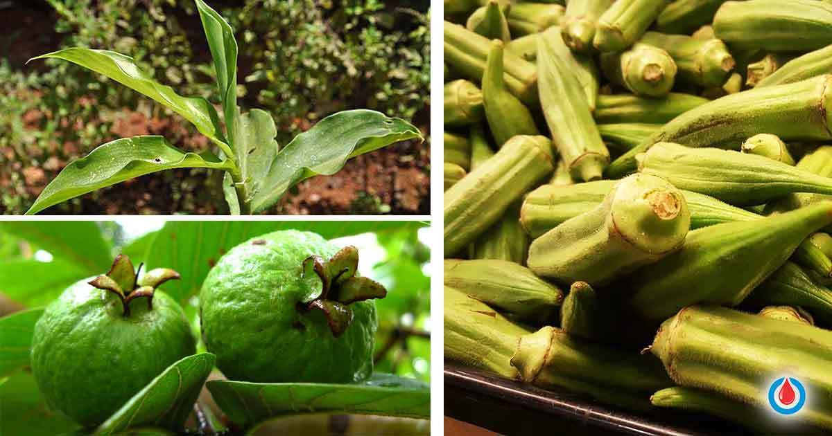 6 Plants That Can Help Control High Blood Sugar