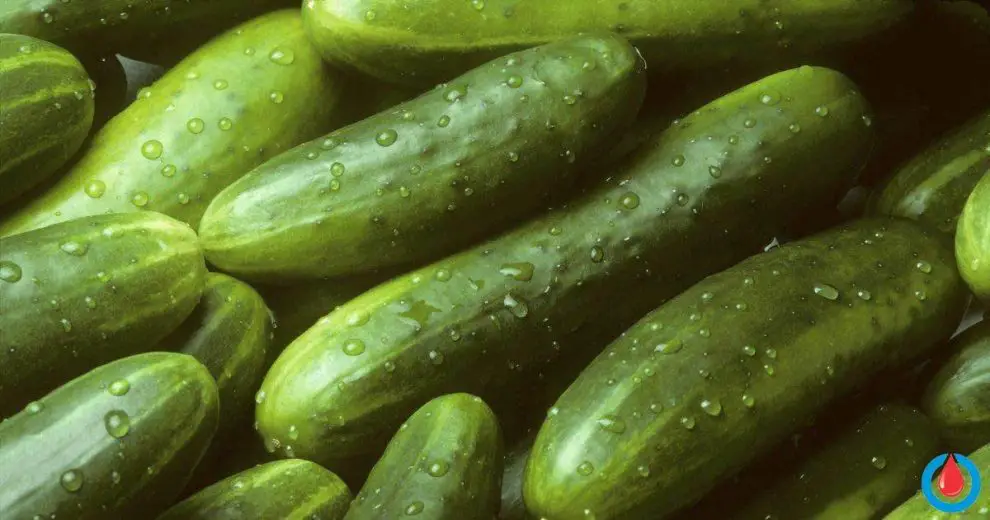 Why Are Cucumbers Beneficial for People with Diabetes