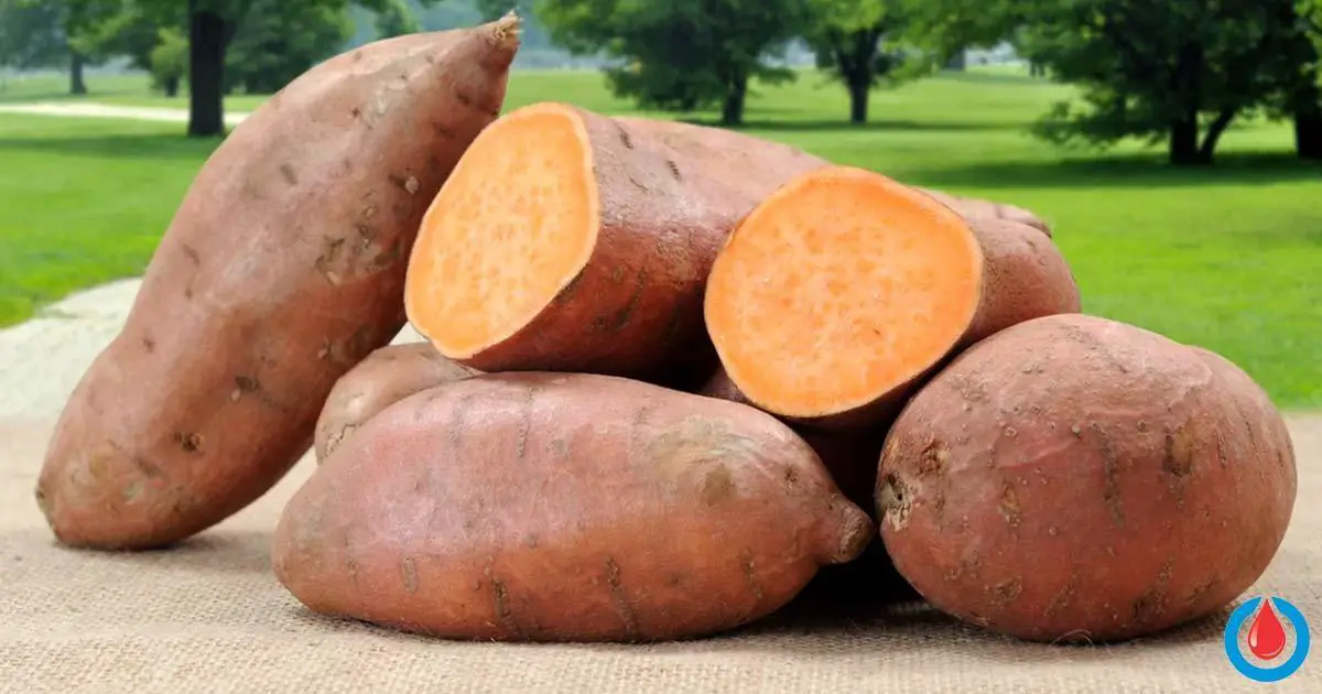 15 Reasons Why Sweet Potatoes Are Good for Your Health