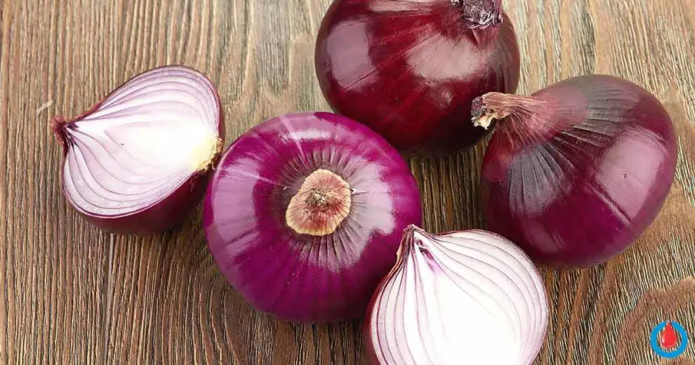 Are Onions Affecting Your Blood Sugar Levels