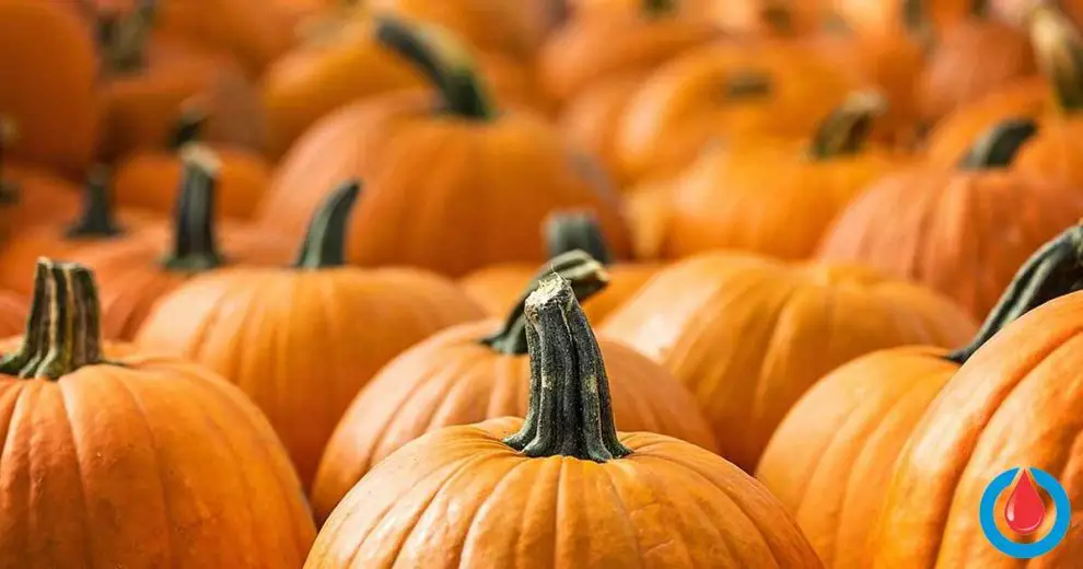 Here's How Pumpkin Affects Blood Glucose Levels
