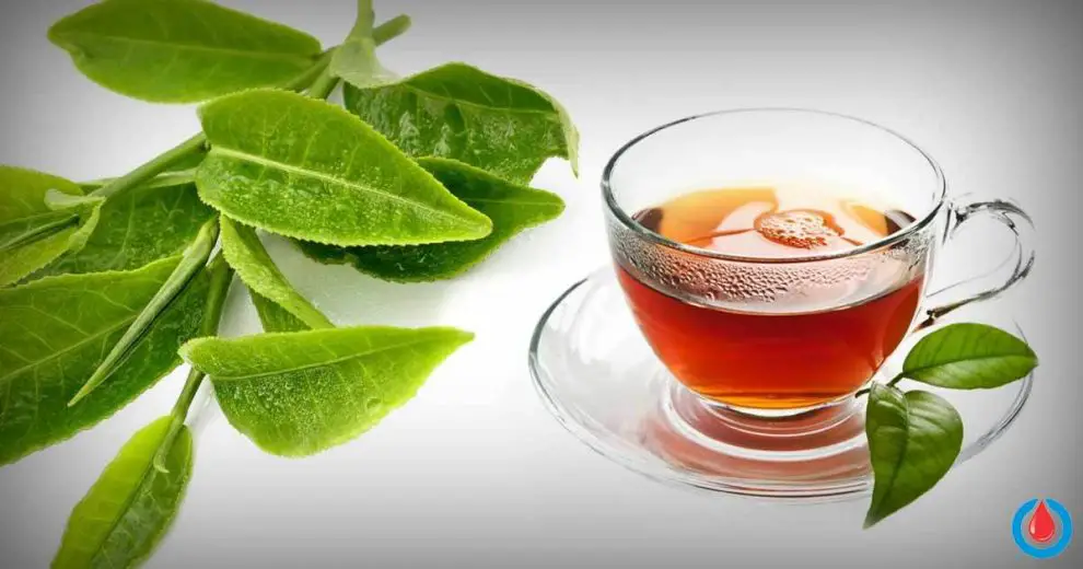 How to Make Guava Leaf Tea to Reduce Blood Glucose & Cholesterol, and Boost Weight Loss
