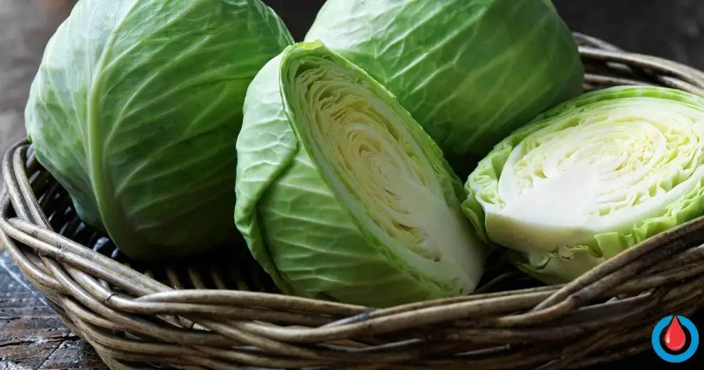 10 Impressive Health Benefits of Cabbage