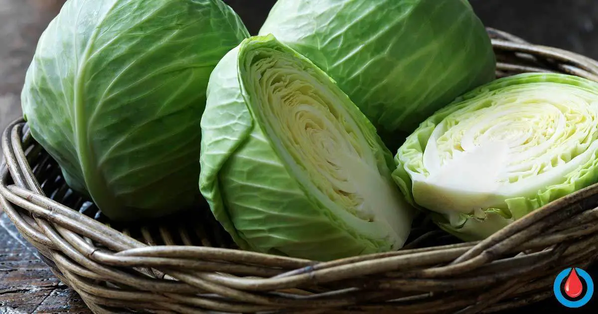 10 Impressive Health Benefits of Cabbage