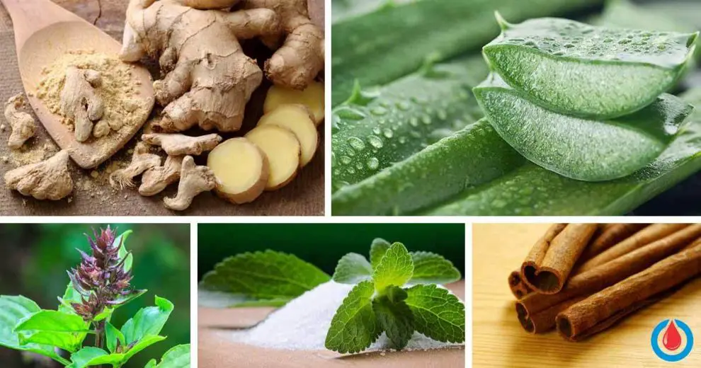 The Best 10 Herbs Which Reduce Blood Glucose Levels