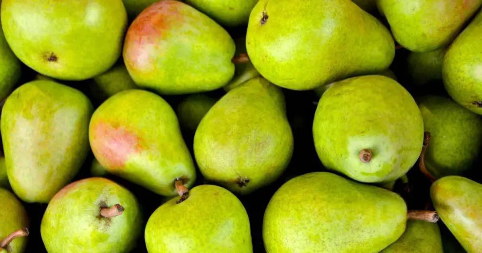 Why and How to Eat Pears If You Have High Blood Sugar