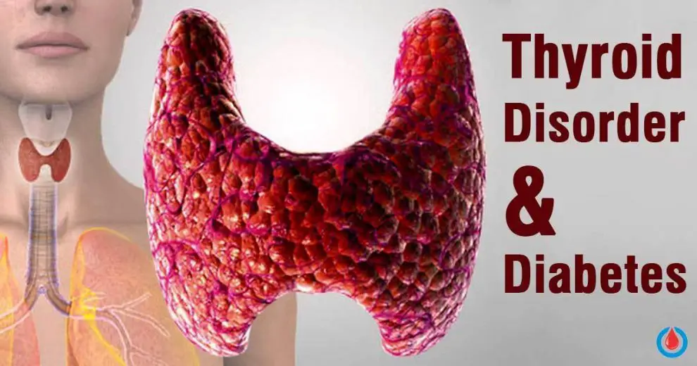 How Is Your Thyroid Disorder Affecting Your Blood Sugar