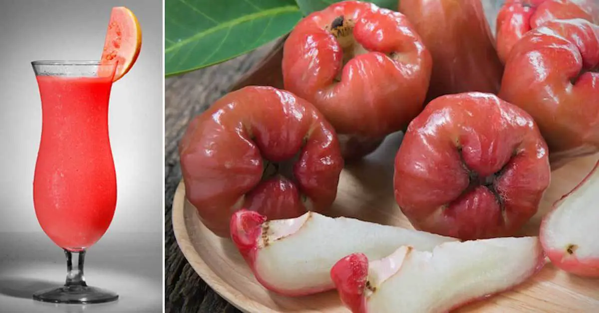 Amazing Health Benefits of Rose Apples