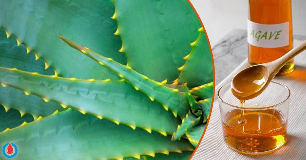 Does Agave Spike the Blood Sugar Levels
