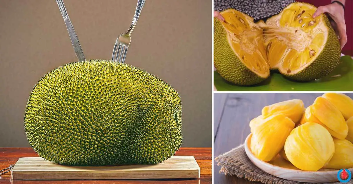 Incredible Benefits of Eating Jackfruit You Should Know