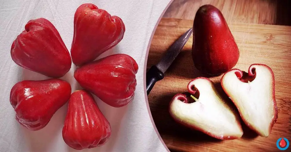 Are Rose Apples Good for Diabetes Treatment and Prevention?