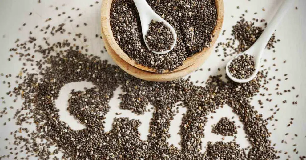 The Amazing Benefits of Eating Chia Seeds