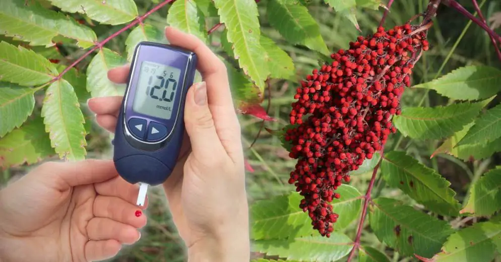The Incredible Benefits of Sumac for Blood Sugar Control